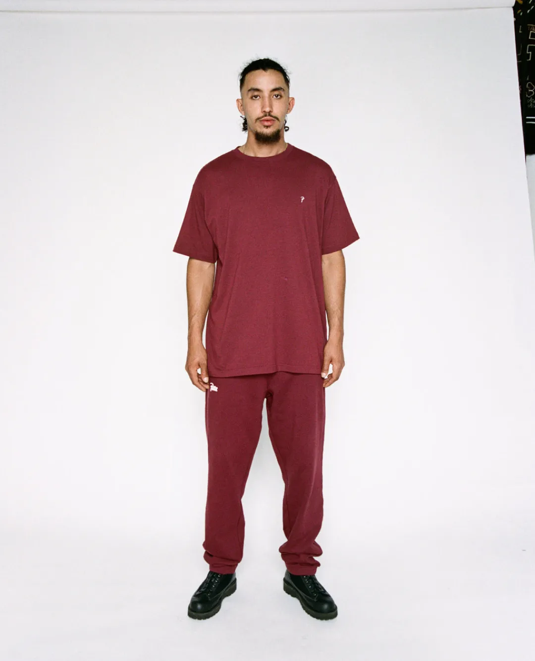 * Patta Basic Script P T- Shirt (Tawny Port)